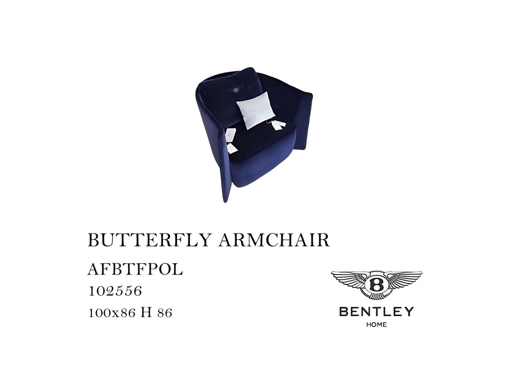 BUTTERFLY ARMCHAIR
