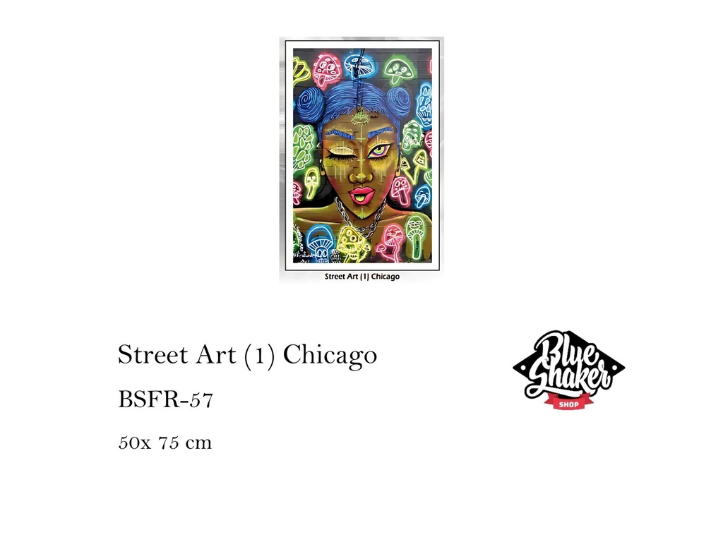 Street Art (1) Chicago