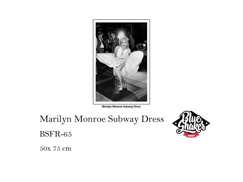 Marilyn Monroe Subway Dressr