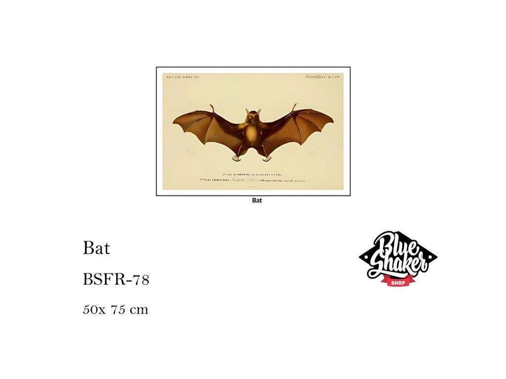 Bat