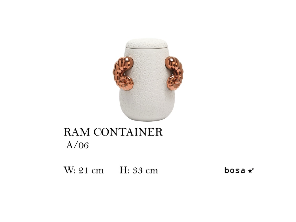RAM CONTAINER