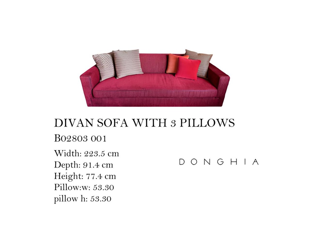 DIVAN SOFA  WITH 3 PILLOWS (53CM X 53CM)