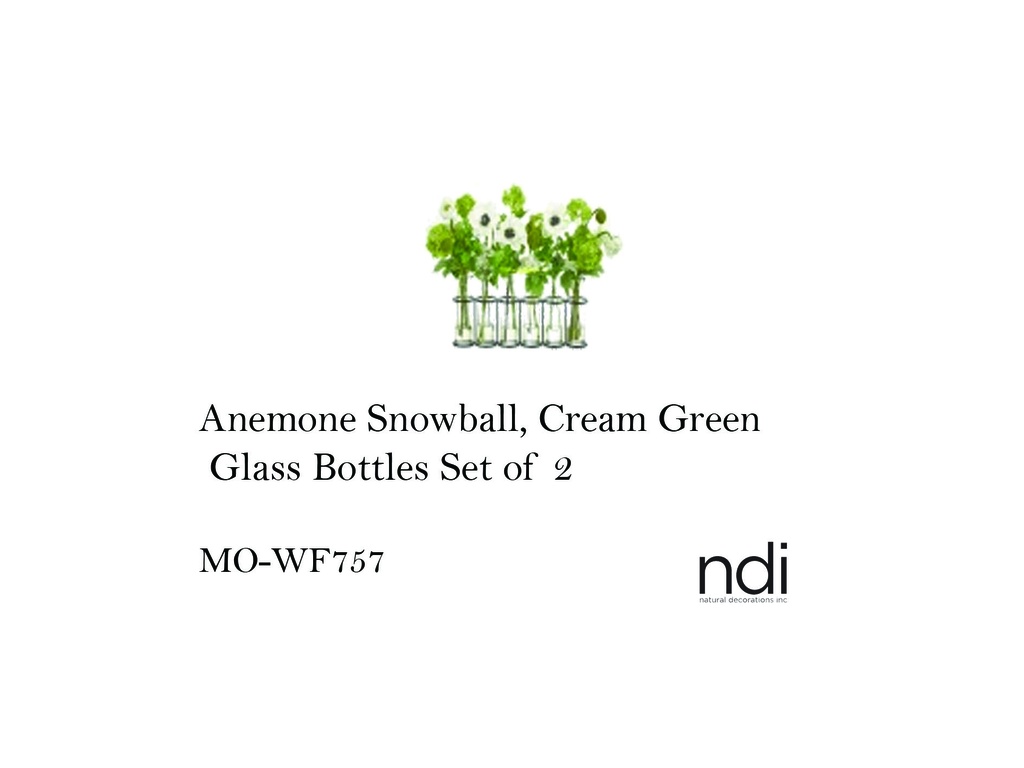 ANEMONE SNOWBALL, CREAM GREEN, GLASS BOTTLES