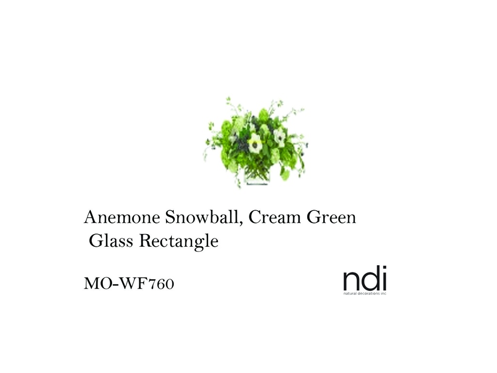 ANEMONE SNOWBALL, CREAM GREEN, GLASS RECTANGLE