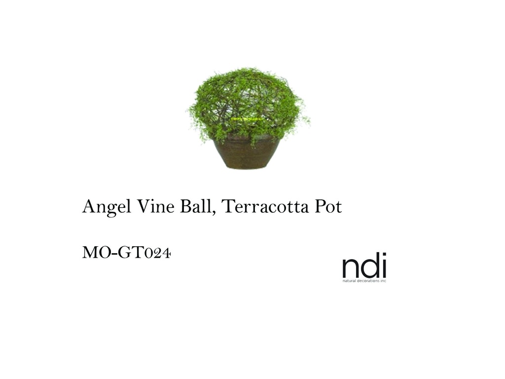 ANGEL VINE BALL, TERRACOTTA POT