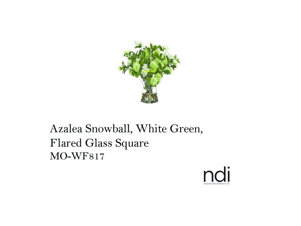 AZALEA SNOWBALL, WHITE GREEN, FLARED GLASS SQUARE
