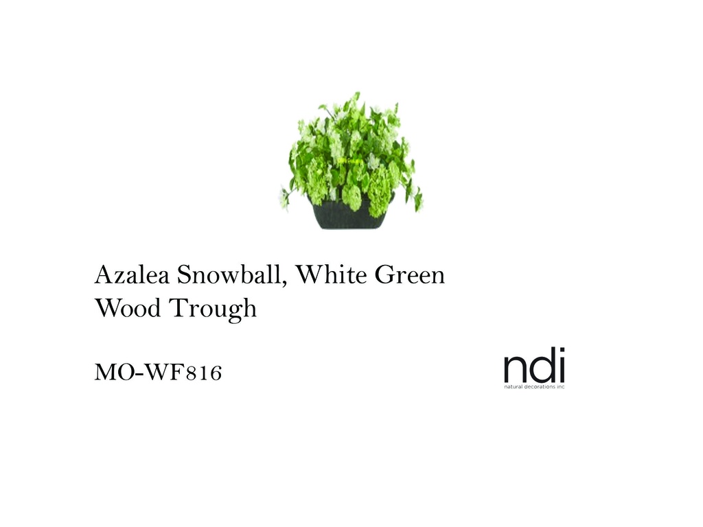 AZALEA SNOWBALL, WHITE GREEN, WOOD TROUGH