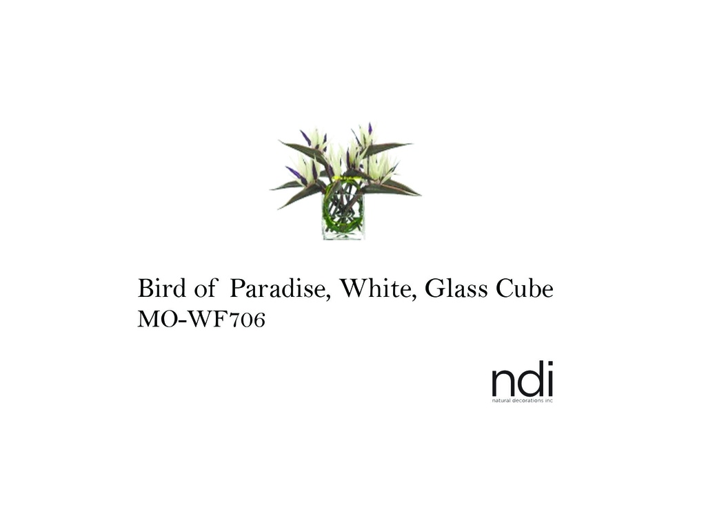 BIRD OF PARADISE, WHITE, GLASS CUBE