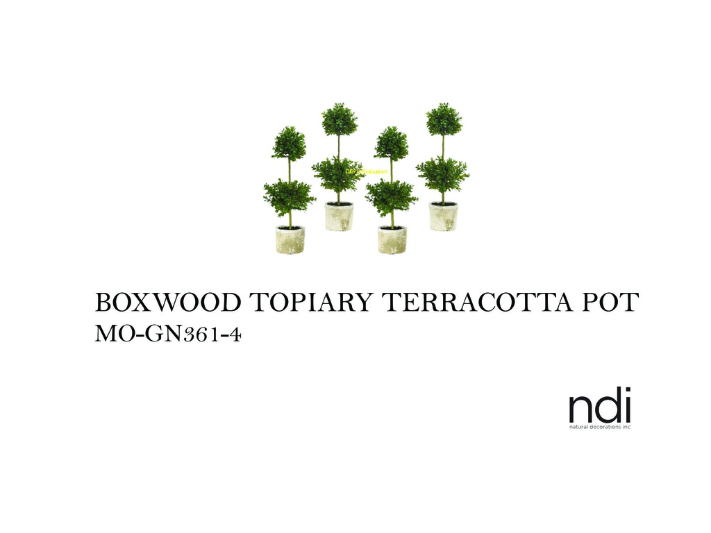 BOXWOOD TOPIARY TERRACOTTA POT