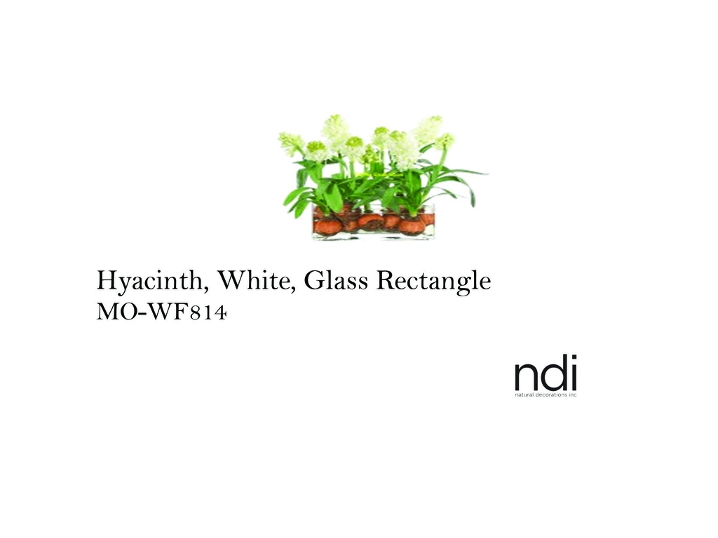 HYACINTH, WHITE, GLASS RECTANGLE
