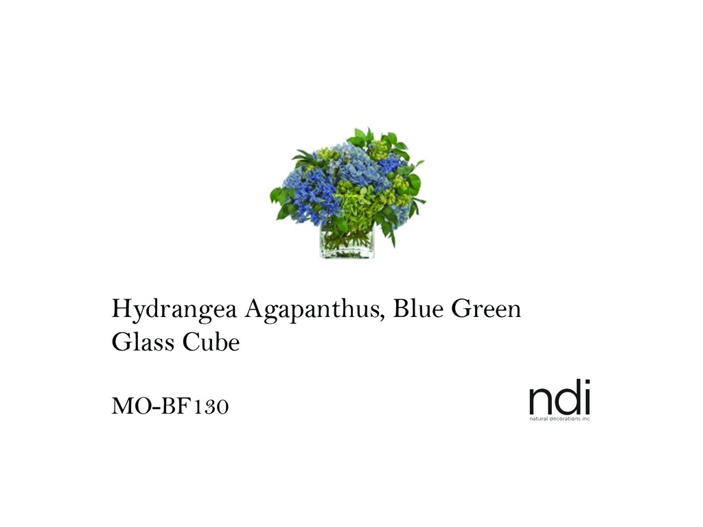 HYDRANGEA AGAPANTHUS, BLUE GREEN, GLASS CUBE