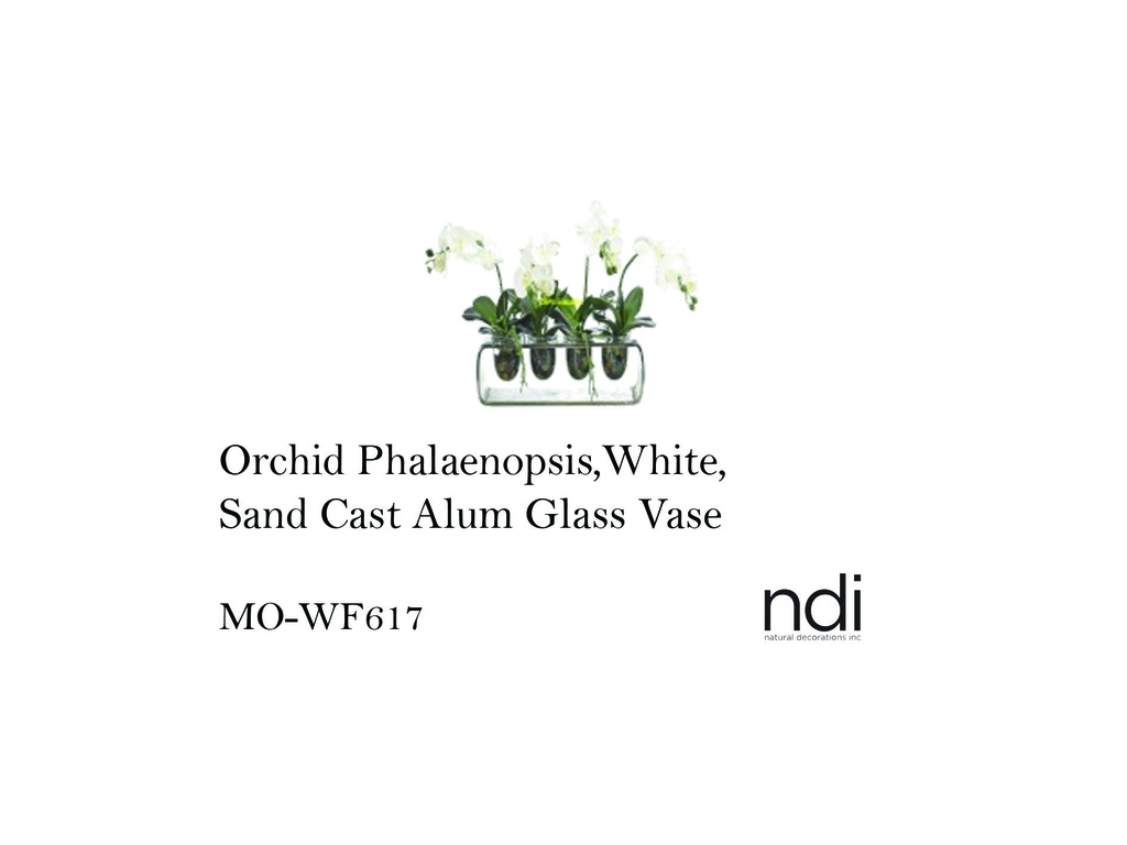 ORCHID PHALAENOPSIS,WHITE,SAND CAST ALUM GLASS VASE