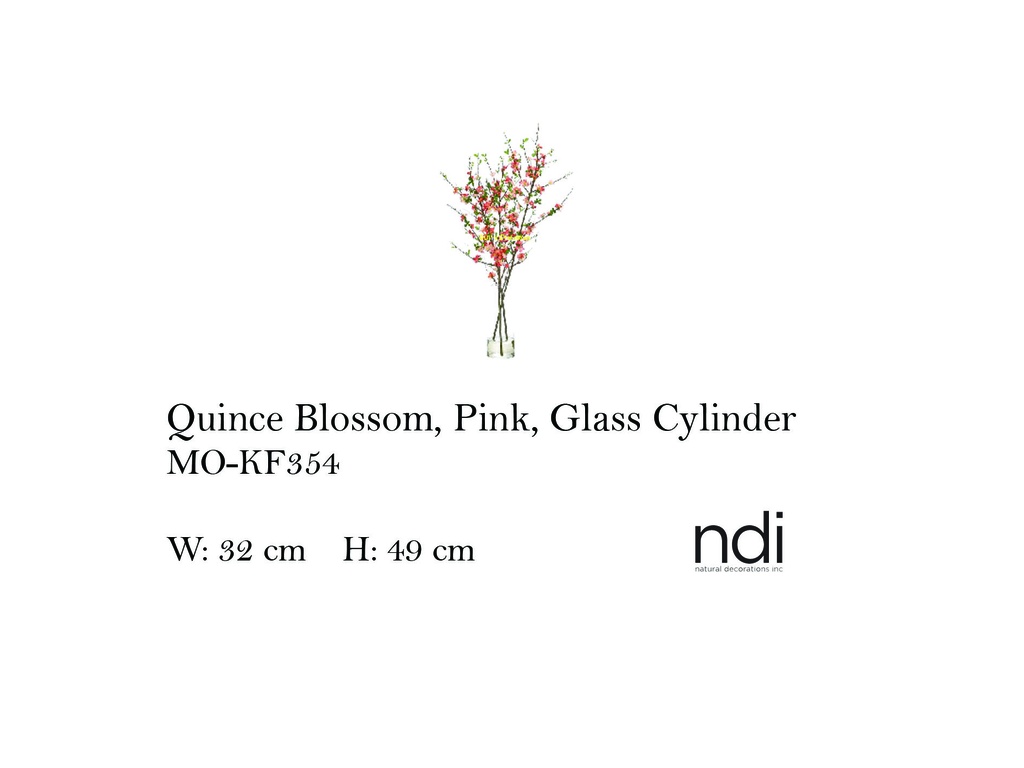 QUINCE BLOSSOM, PINK, GLASS CYLINDER