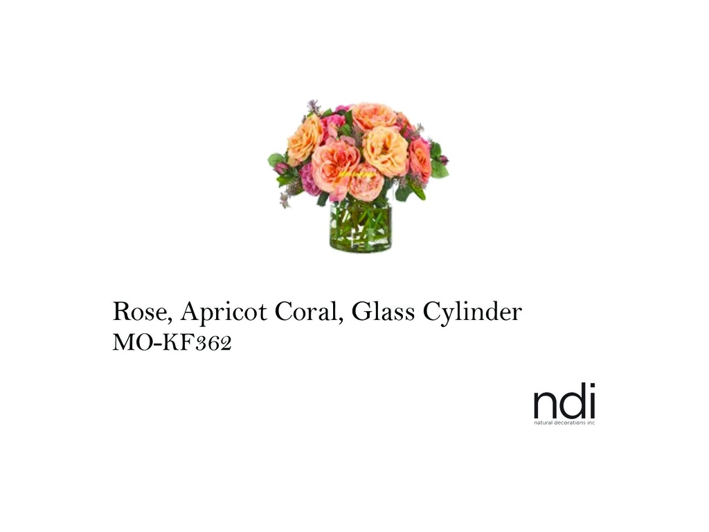 ROSE, APRICOT CORAL, GLASS CYLINDER
