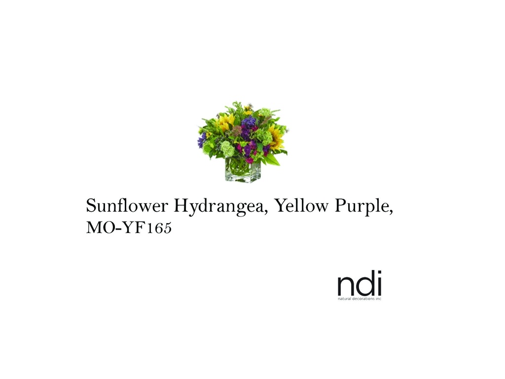SUNFLOWER HYDRANGEA, YELLOW PURPLE, GLASS CUBE