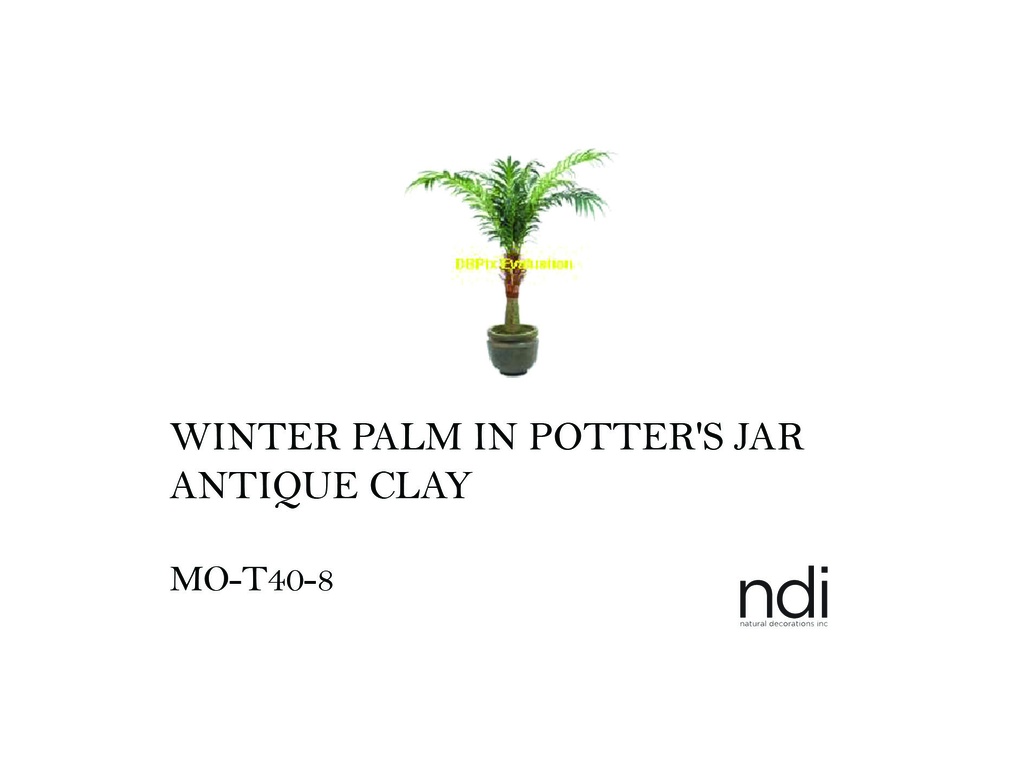 WINTER PALM IN POTTER'S JAR ANTIQUE CLAY
