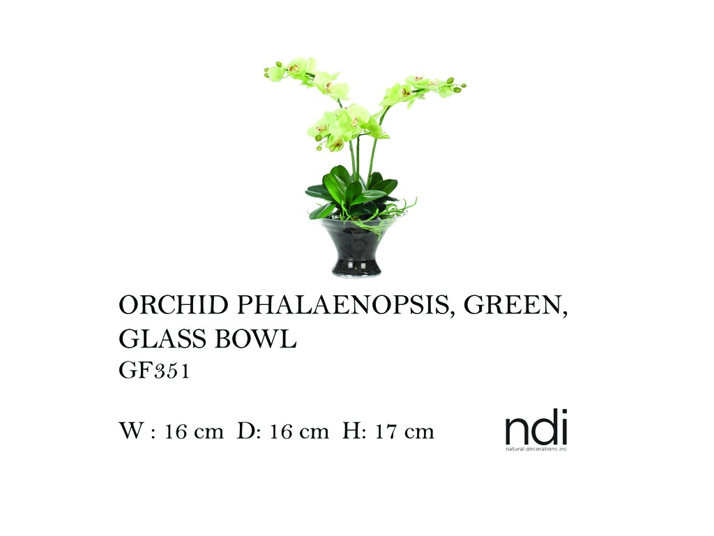 ORCHID PHALAENOPSIS GLASS BOWL