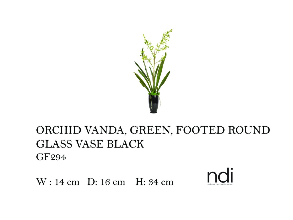 ORCHID VANDA