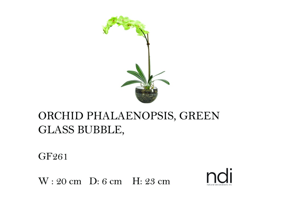 ORCHID PHALAENOPSIS GLASS BUBBLE