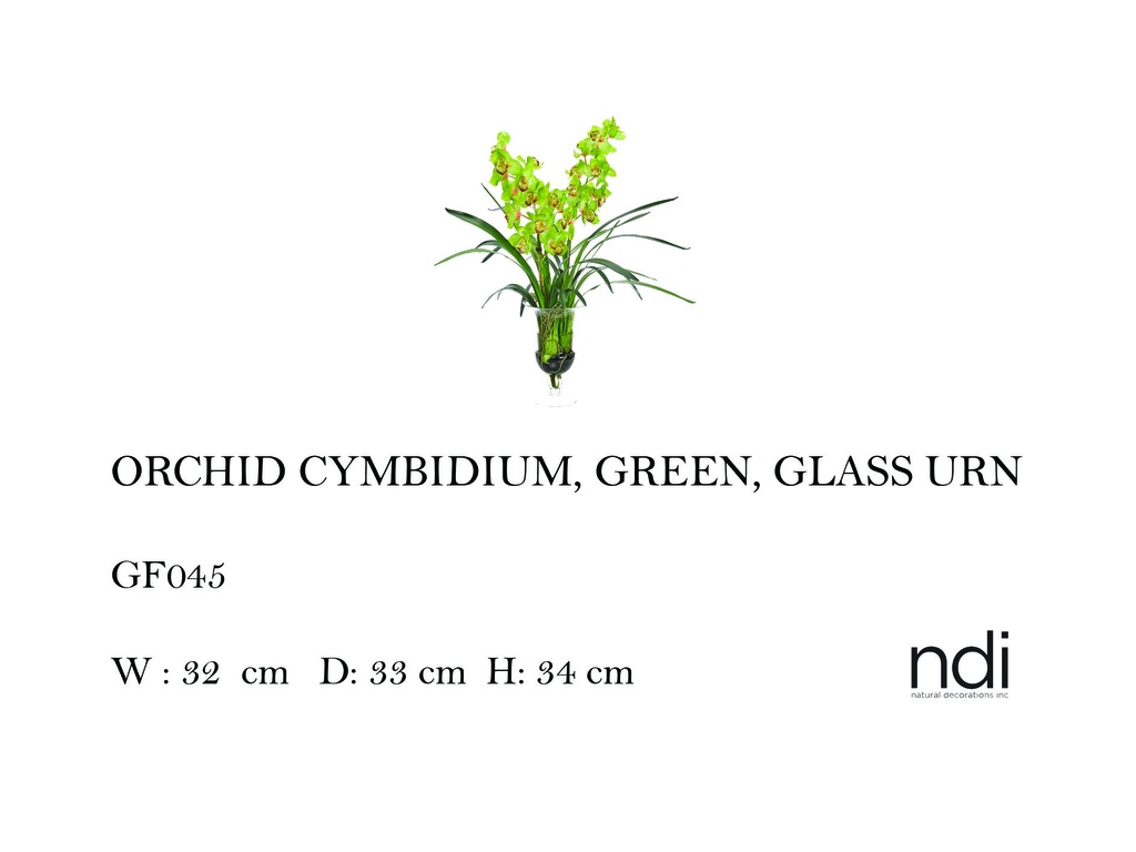 ORCHID CYMBIDIUM, GREEN, GLASS URN