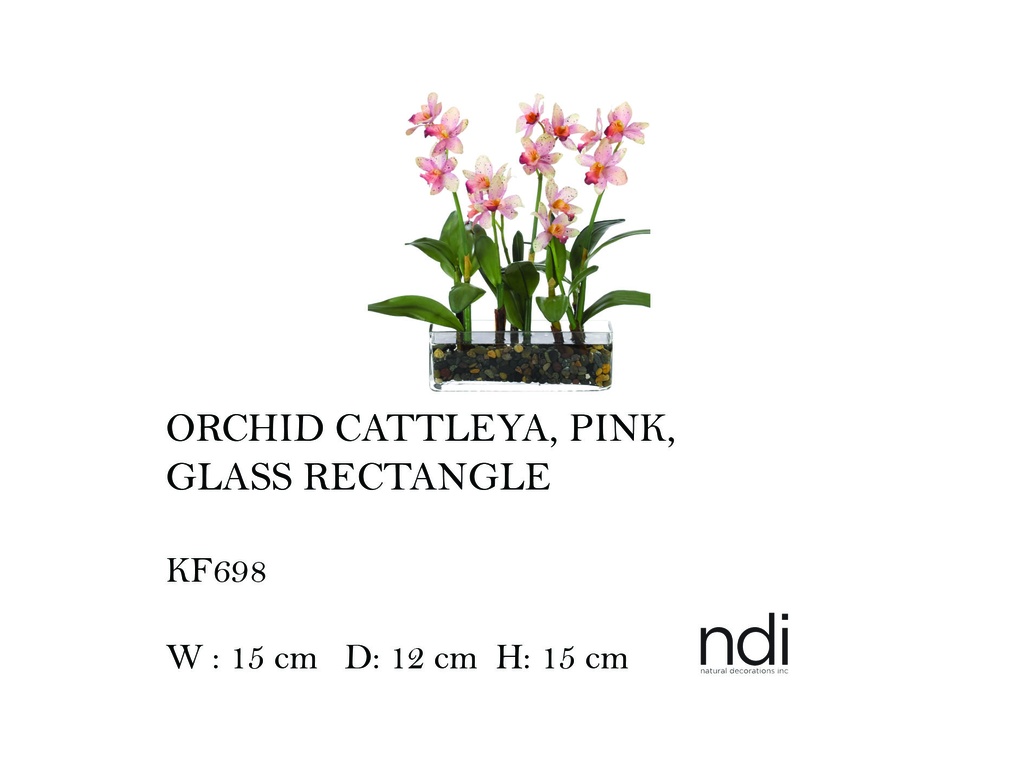 ORCHID CATTLEYA, PINK, GLASS RECTANGLE