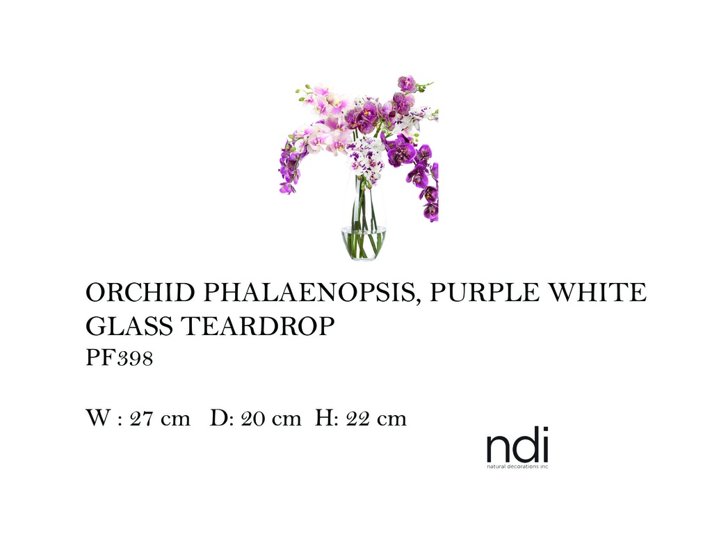ORCHID PHALAENOPSIS, PURPLE WHITE, GLASS TEARDROP