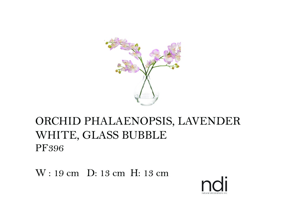 ORCHID PHALAENOPSIS, LAVENDER WHITE, GLASS BUBBLE,