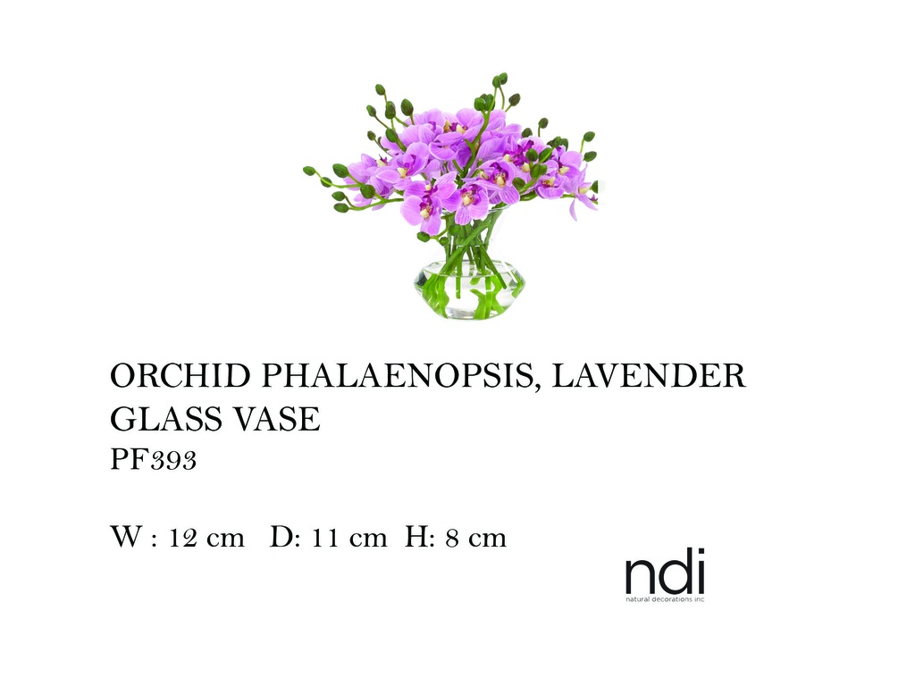 ORCHID PHALAENOPSIS, LAVENDER, GLASS VASE