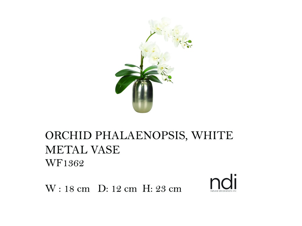 ORCHID PHALAENOPSIS, WHITE, METAL VASE