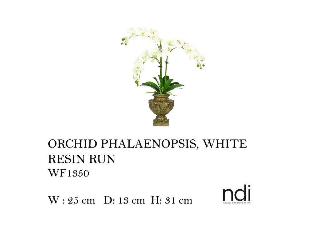 ORCHID PHALAENOPSIS, WHITE, RESIN RUN