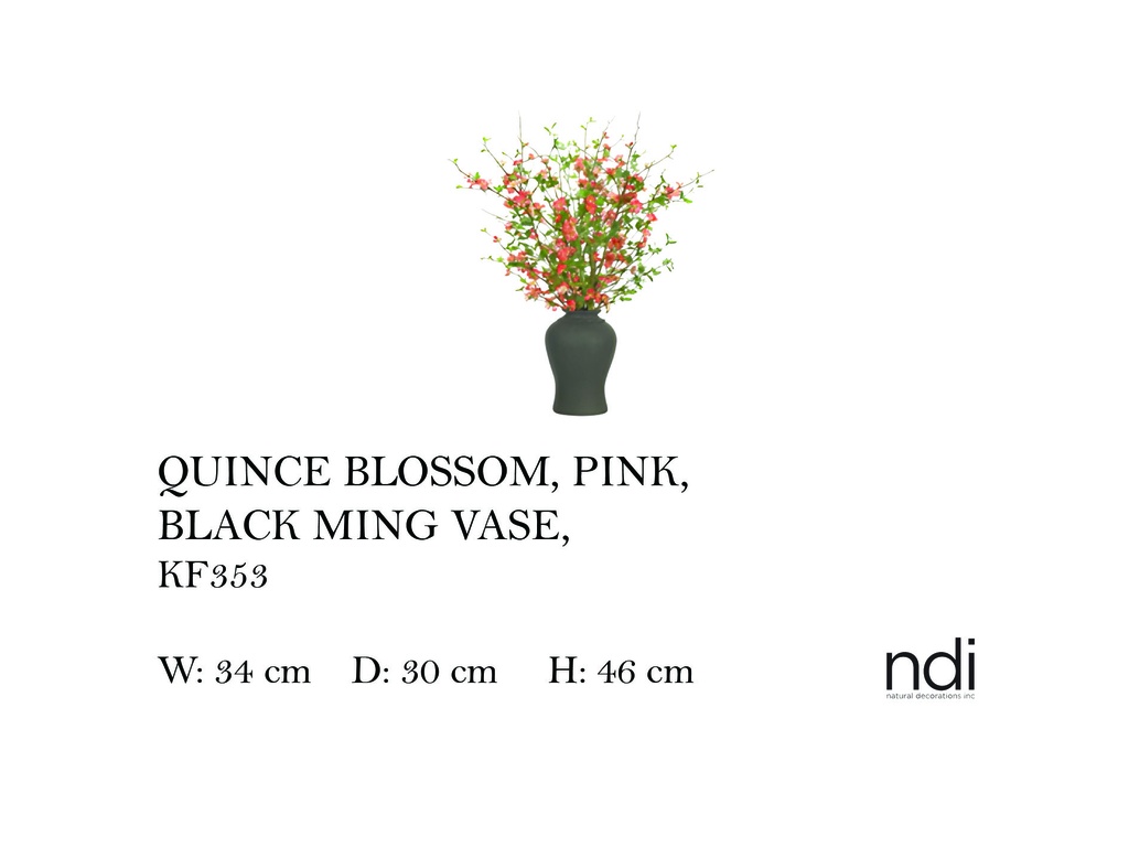 QUINCE BLOSSOM, PINK, BLACK MING VASE
