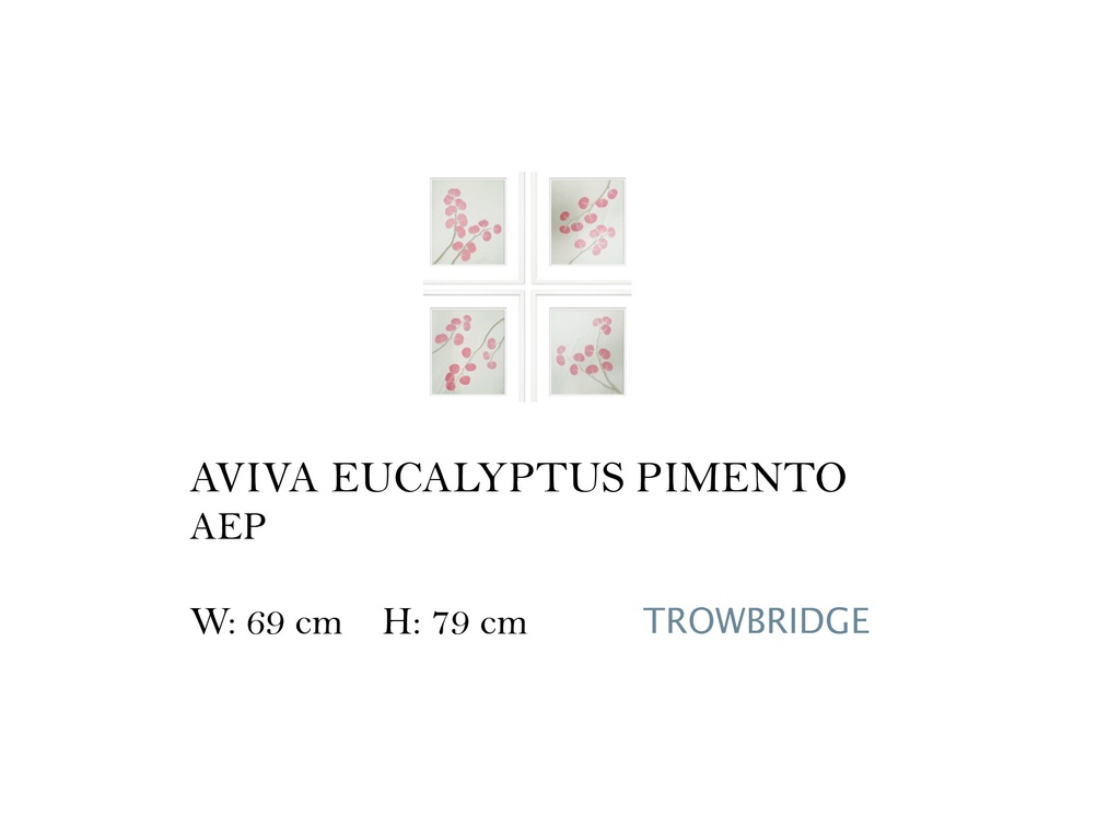 AVIVA EUCALYPTUS PIMENTO (SET OF 4)