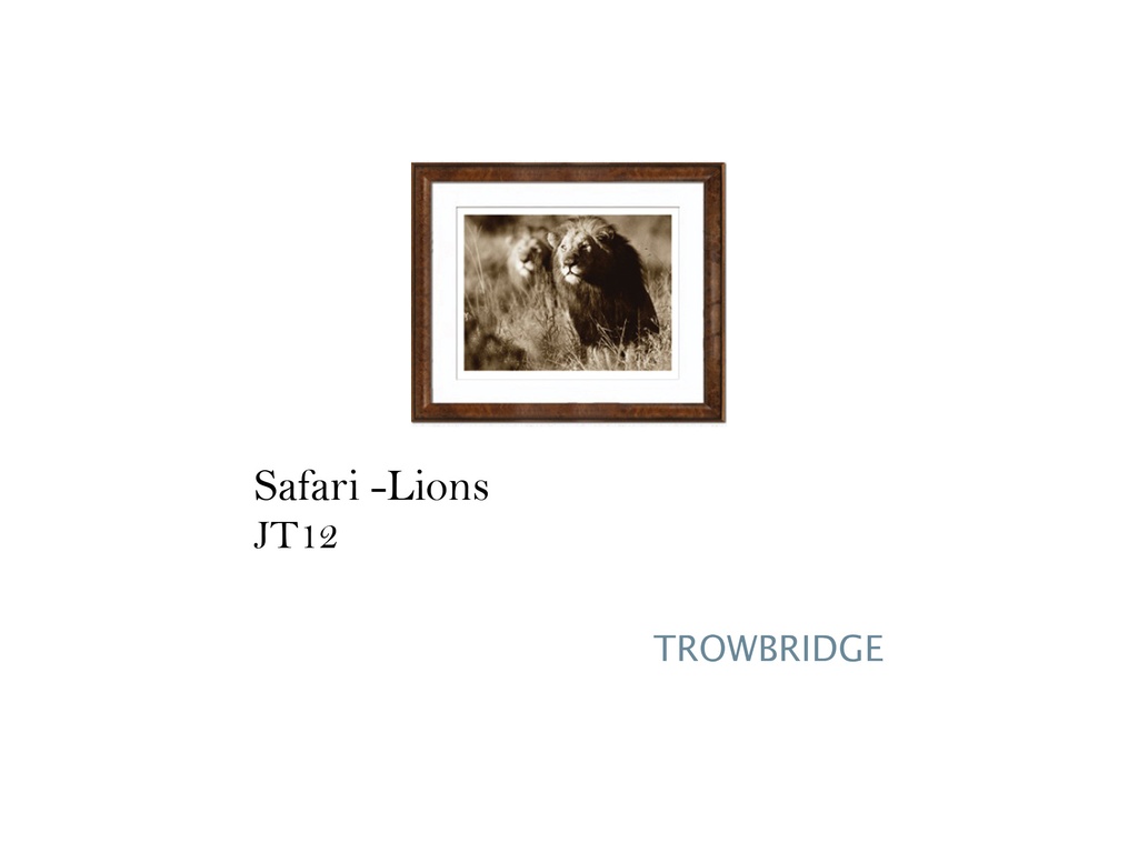 SAFARI-LIONS