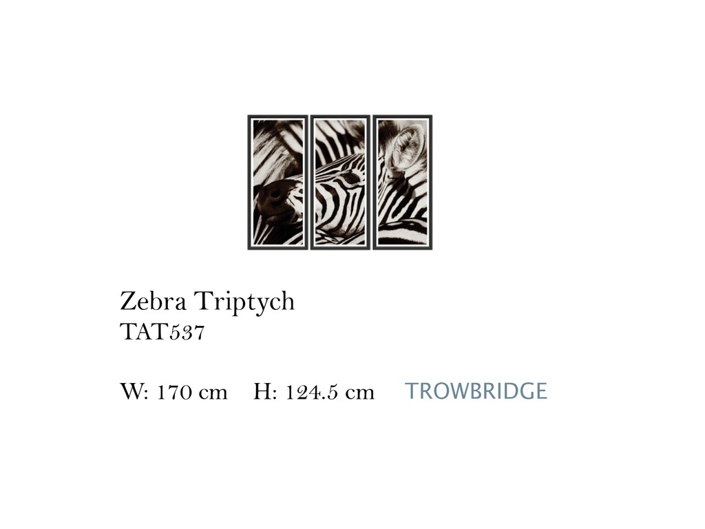 ZEBRA TRIPTYCH