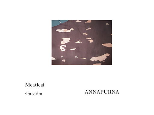 [MHT-001719] CARPET