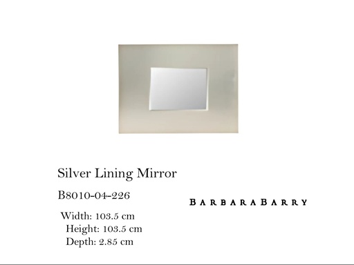 [MHT-002852] MIRROR
