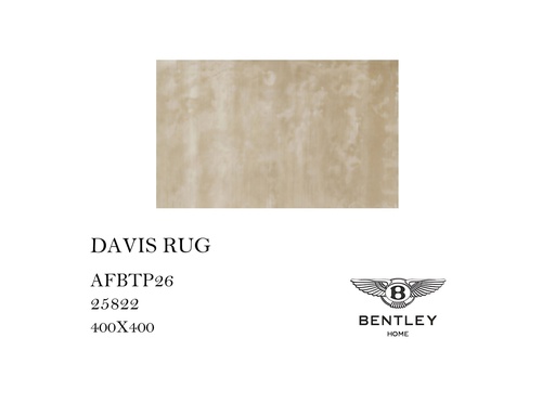 [MHT-000458] DAVIS RUG