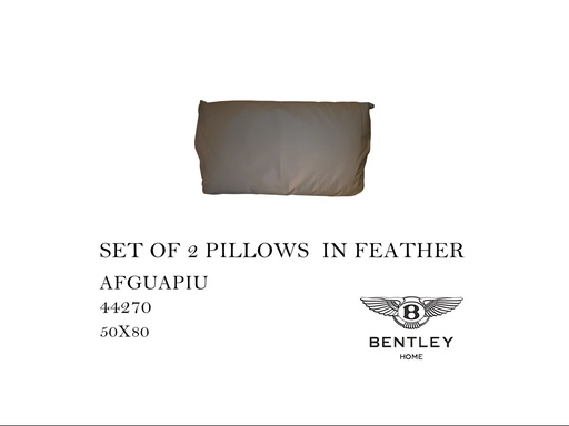 [MHT-000553] SET OF 2 PILLOWS IN FEATHER