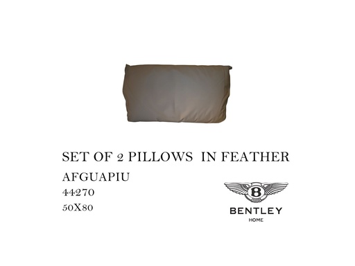[MHT-000554] SET OF 2 PILLOWS IN FEATHER