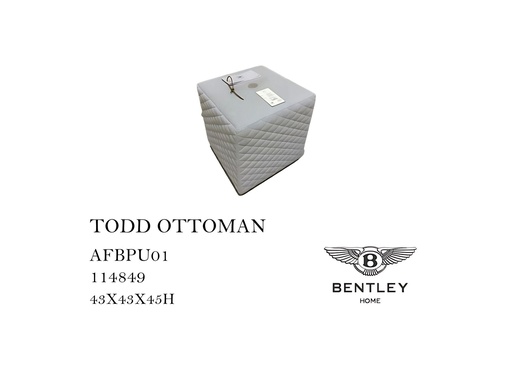 [MHT-000587] TODD OTTOMAN