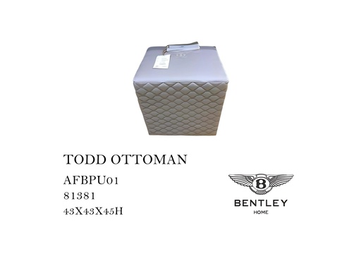 [MHT-000588] TODD OTTOMAN