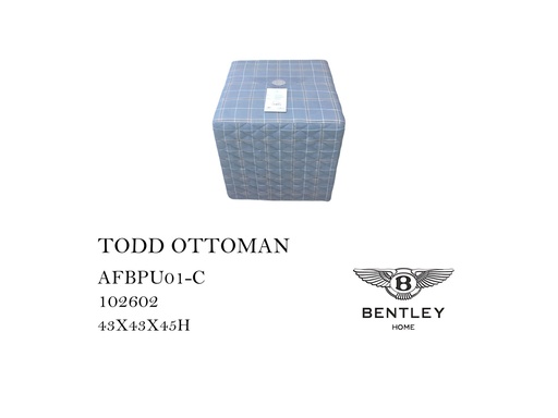 [MHT-000589] TODD OTTOMAN