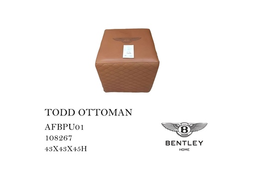 [MHT-000590] TODD OTTOMAN