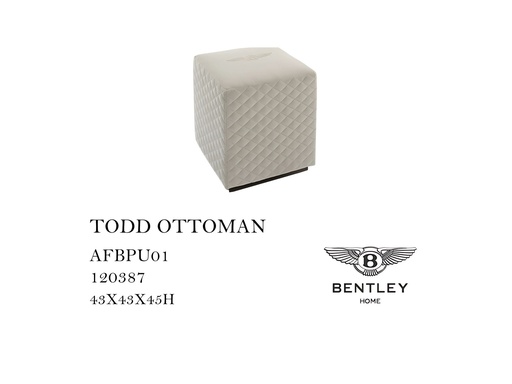 [MHT-000591] TODD OTTOMAN
