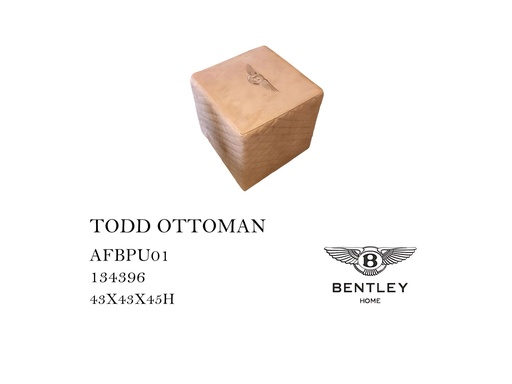 [MHT-000593] TODD OTTOMAN
