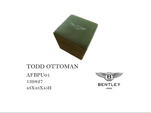 [MHT-000594] TODD OTTOMAN