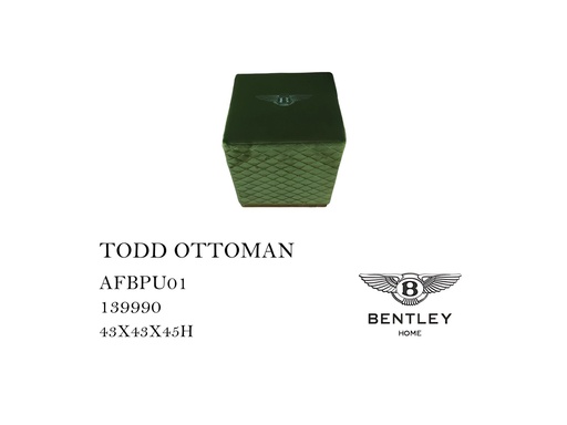 [MHT-000596] TODD OTTOMAN