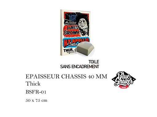 [MHT-001062] TOILE SANS ENCADREMENT JAMES BROWN