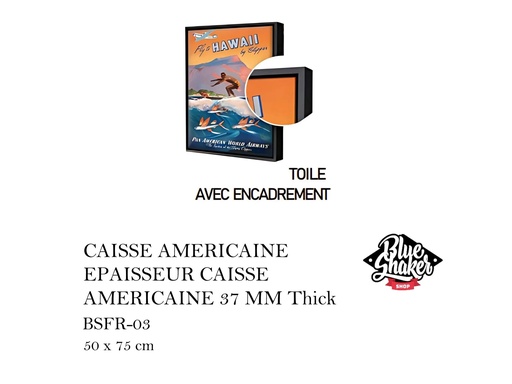 [MHT-001064] TOILE SANS ENCADREMENT HAWAII