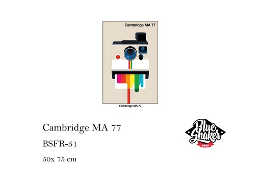 [MHT-001108] Cambridge MA 77